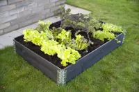 Pallekarm