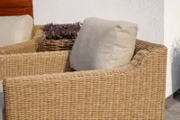 Zinnia rottingfåtölj