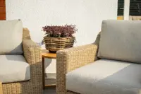 Zinnia & Oregano Sofagruppe