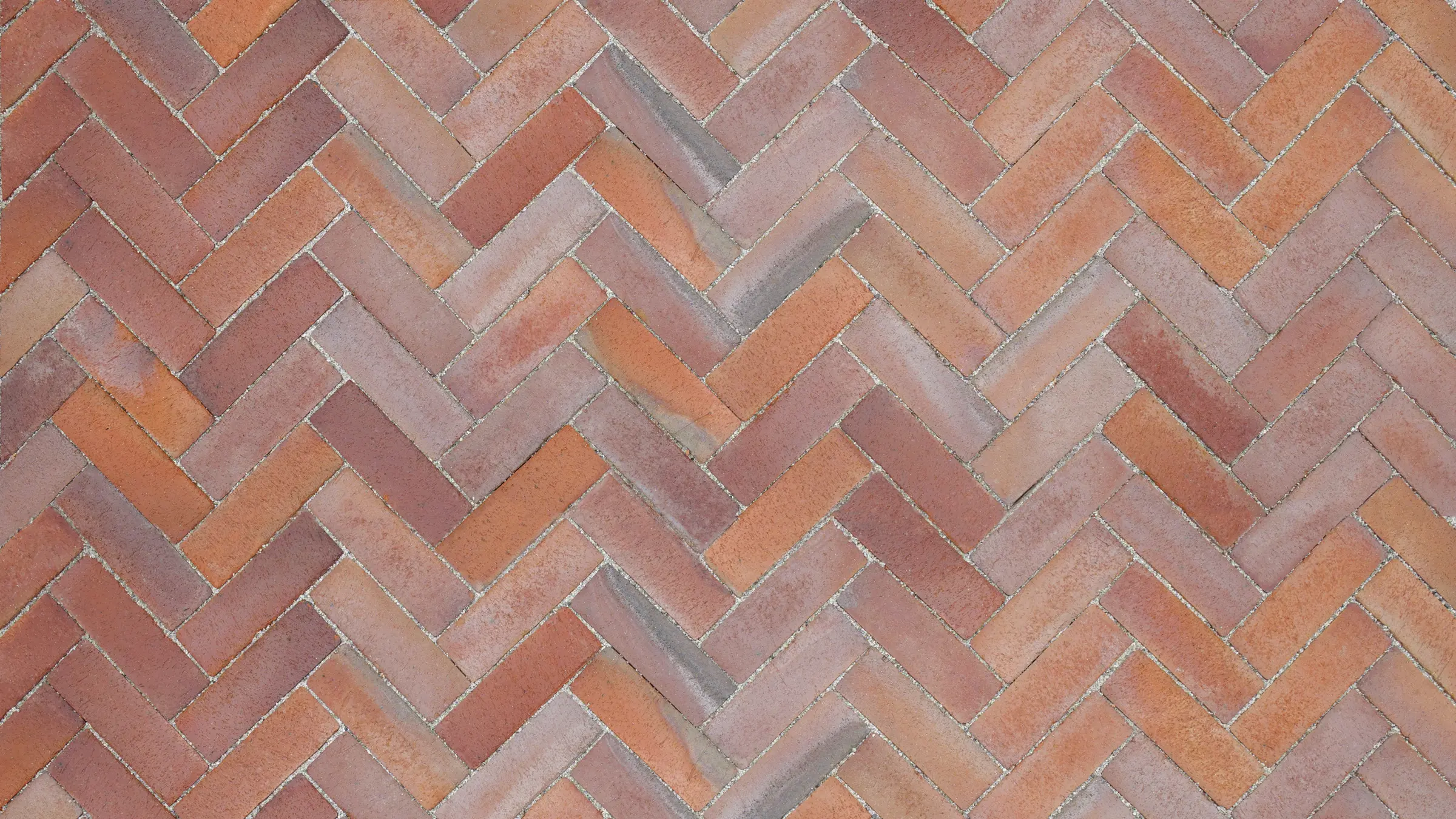 Marktegl Malmö