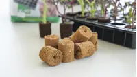 ROOT!T Anzuchtbriketts Kokosfaser Nachfüllpackung 60 Stück