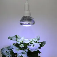 Plantebelysning Vinter