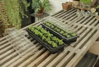 Minidrivhus fönsterbräda – 2-pack