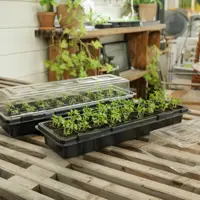 Minidrivhus fönsterbräda – 2-pack