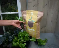 ROOT Biohumus