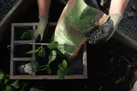 GROW Kretsloppsgödsel