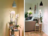 Växtarmatur för LED