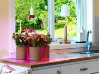 Vekstlampe Odla