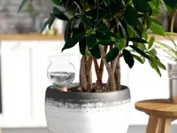 Selvvanning Hydro Bloom