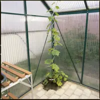 Tomatspiraler