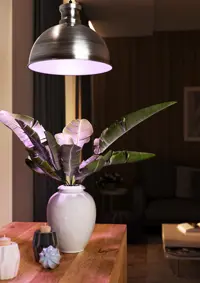 Pflanzenlampe Florabooster 500