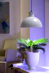 Pflanzenlampe Florabooster 500