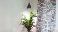 Växtlampa Standard