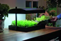Anzuchtbeleuchtung LED
