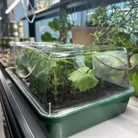 ROOT!T Miniväxthus komplett