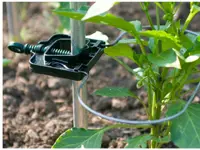 Rank-o-flex för tomatplantor